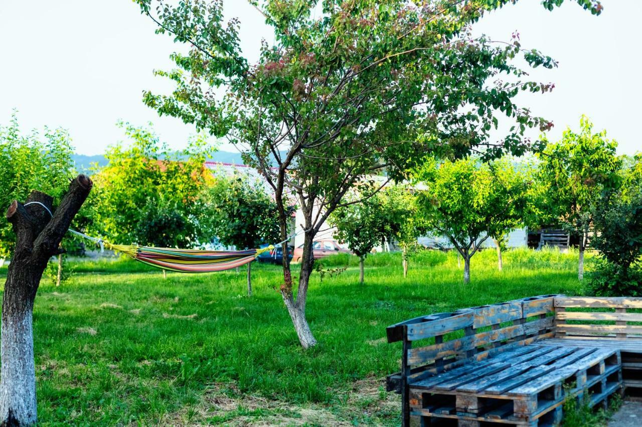 Pensiunea Marmis Riu Barbat ภายนอก รูปภาพ